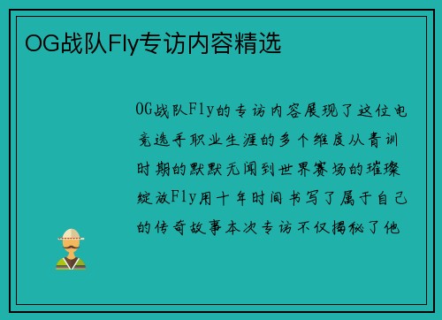 OG战队Fly专访内容精选